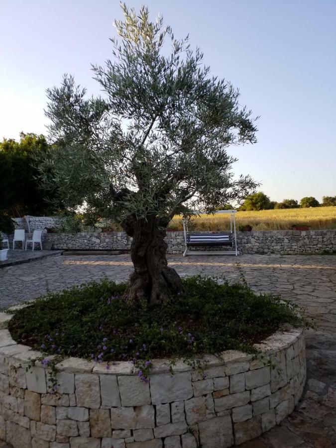 Dimora Del Sole Apartment Putignano Bagian luar foto